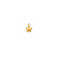 MINI CHARM ÉTOILE