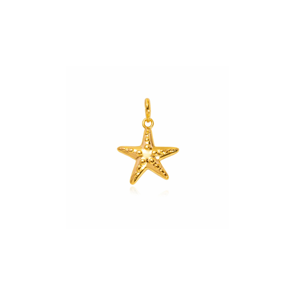 CHARM ÉTOILE DE MER